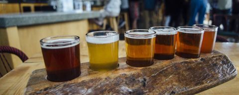 a beer sampler tray with six shot-glass-sized glasses