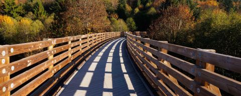 a pathway with railings in nature