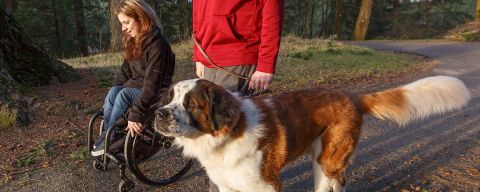 a girl in a wheelchair on nature trail with a man and a dog