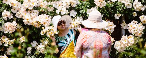 A photo of someone photographing someone else amid the rhododendrons