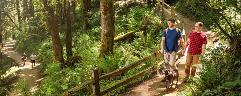 a couple on a walk with their dog on a wooded, shady trail in Forest Park