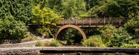 tall bridge with circular bracing above a pond with ducks amid a forested park