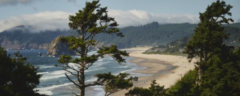 coastal trees obscure aerial view of expansive beach with Haystack Rock in the water and tree-covered hills in the background