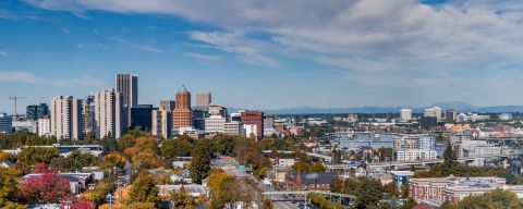 city view on early fall day, tree leaves are changes colors, and there is a light blue sky with passing clouds