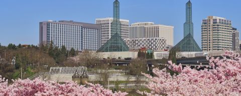 oregon convention center spires above a cherry blossom tree line