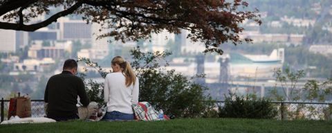two people enjoy a picnic beneath a tree with a scenic city view