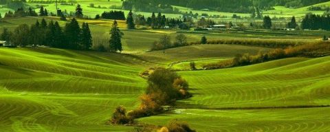 views of bright green fields and farmland makes up the Vineyard and Valley Scenic Route