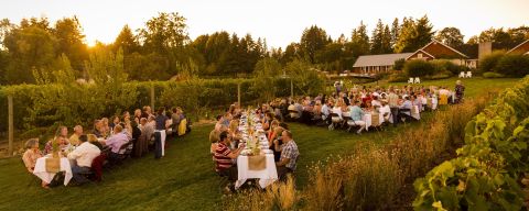 dozens of diners sitting at long tables enjoy an outdoor meal