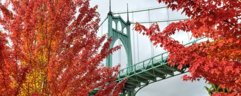 The Autumn On Parade comes to Oregon