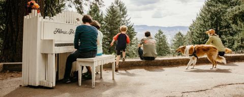 family at mount tabor park plays piano and looks at view with dogs