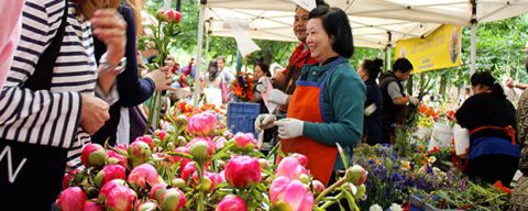 woman looking at flowers for sale