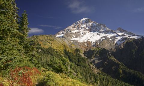 different shades of greens in brush and conifer trees fill the bottom of the frame and get more sparse to reveal a rocky mountain top with a little snow cover