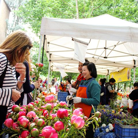 woman looking at flowers for sale