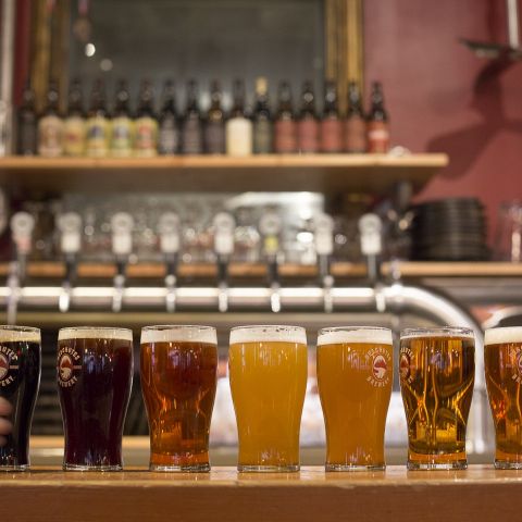 pints of beer lined up from dark to light on a bar top