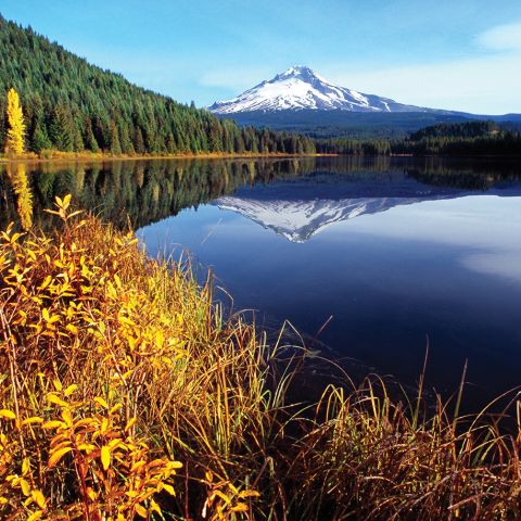 A snow-capped mountain is reflected in a lake with autumn foliage in the foreground