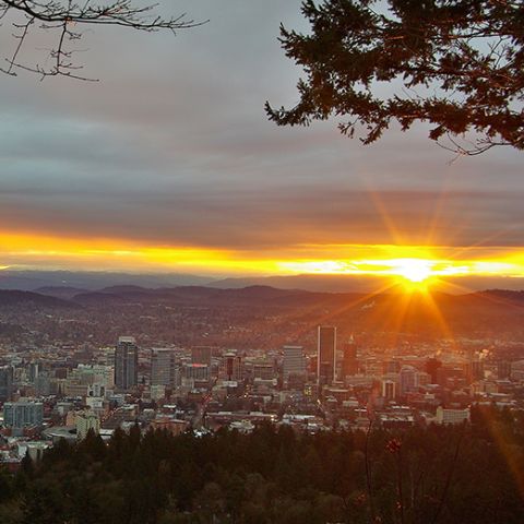 Is Portland, Oregon Safe? Everything Travelers Need to Know