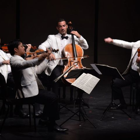 a quartet of string musicians wearing white tuxedos