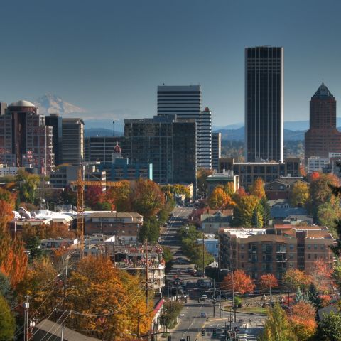 A view of city skyline with its trees a fiery autumn orange with a snow-capped mountain in the background.