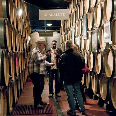 people tasting wine surrounded by wine barrels