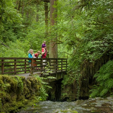 a family of hikers on a bridge on a wooded area