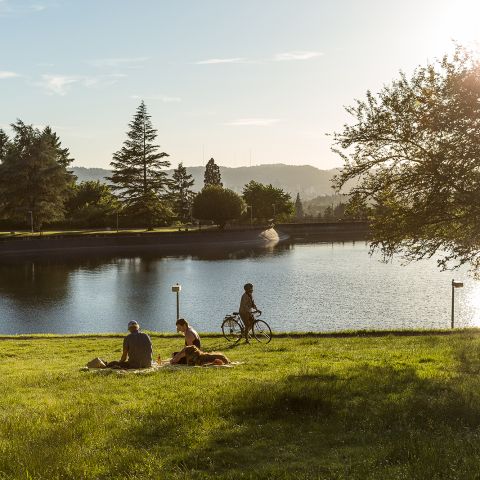 a biker and two picnicking people in front of a tree lined reservoir