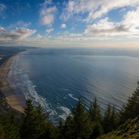 A view of the ocean