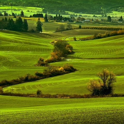 views of bright green fields and farmland makes up the Vineyard and Valley Scenic Route