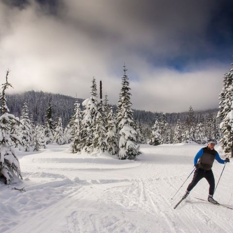 a man skiing on Mt. Hood