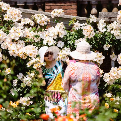 women pose in front of a wall of white roses