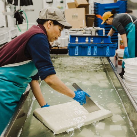 a woman cuts a large white sheet of tofu into squares
