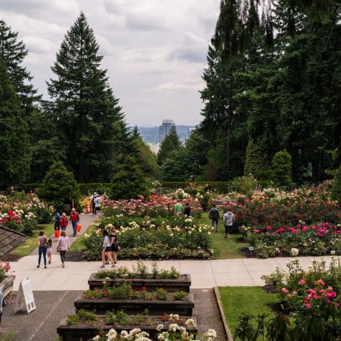 people on sidewalk of rose garden with city views in background