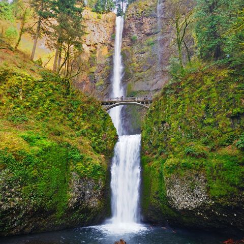 Oregon’s tallest waterfall, Multnomah Falls, cascades down sheer cliffs, through bright green plants, passing under a footbridge ending in a dark blue pool.