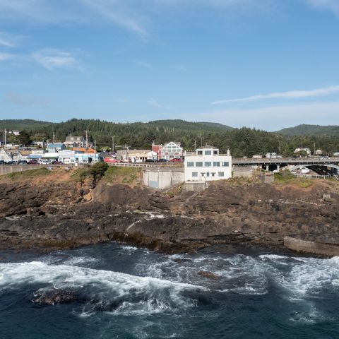 an aerial view of a whale watching center and the surrounding town