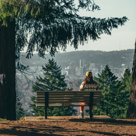 an orange bike stands left of a person sitting on a park bench between two large trees