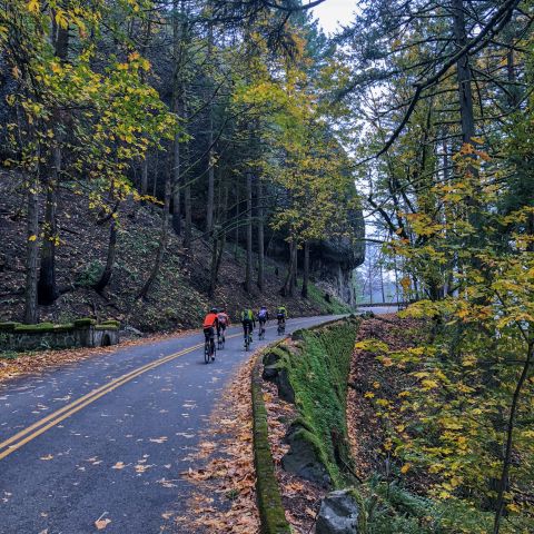 five cyclists bike up a street on a hillside with leaves littering the edges of the road