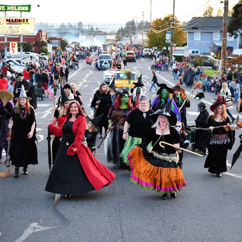 a crowd of people dressed as witches walk in a parade
