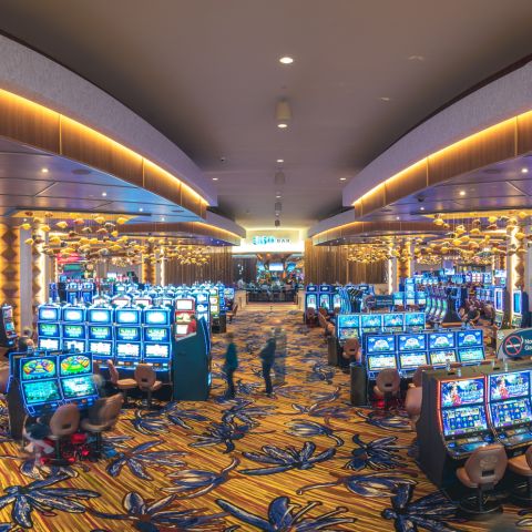 interior of a casino showing the gaming room with multiple rows of slot machines