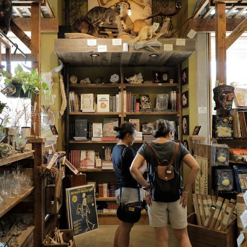 two people browse products inside a shop