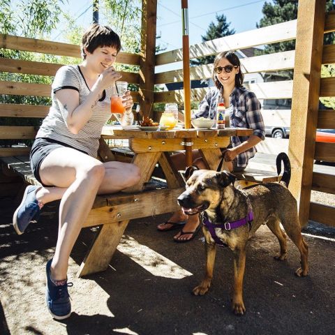 Dogs at Victoria Bar