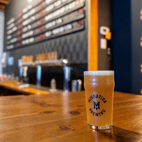 A full glass of beer stands on the bar at Migration Brewing.