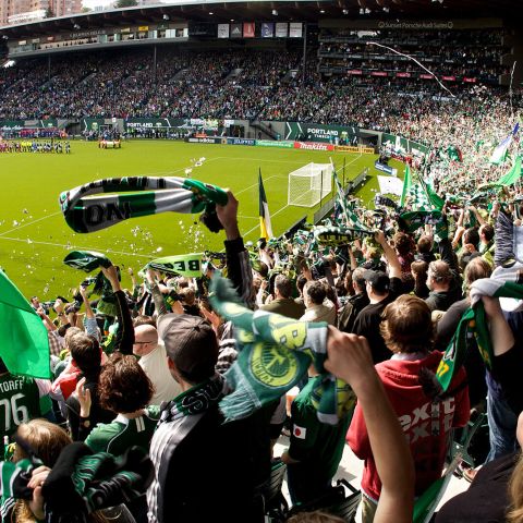 cheering fans waving flags and streamers in a crowded stadium