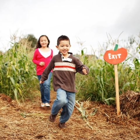 kids running through a pumpkin patch