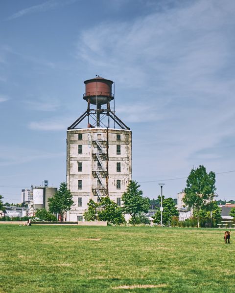 People lounging and walking dogs on the green lawn of a park in front of a large water tower