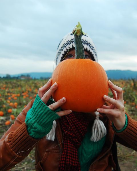 a person standing in front of a pumpkin patch holding a pumpkin in front of their face