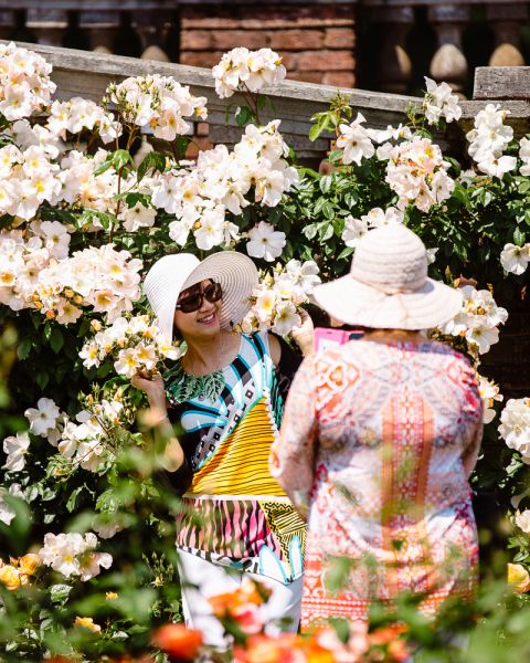 women pose in front of a wall of white roses