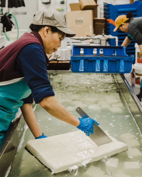 a woman cuts a large white sheet of tofu into squares