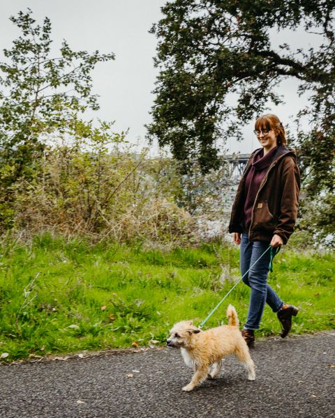 A person walks their dog along a paved path surrounded by grass and trees.