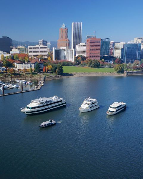 four cruise ships of varying sizes on the Willamette River