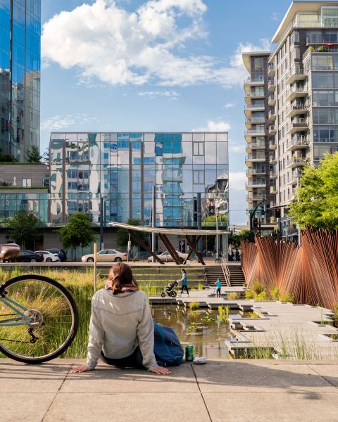 person sitting on the ground in front of a pond with a bicycle with cityscape in front and a blue sky with white clouds overhead