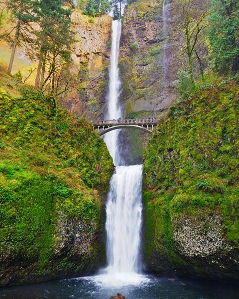 Oregon’s tallest waterfall, Multnomah Falls, cascades down sheer cliffs, through bright green plants, passing under a footbridge ending in a dark blue pool.